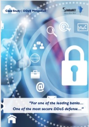 DDoS Mitigation